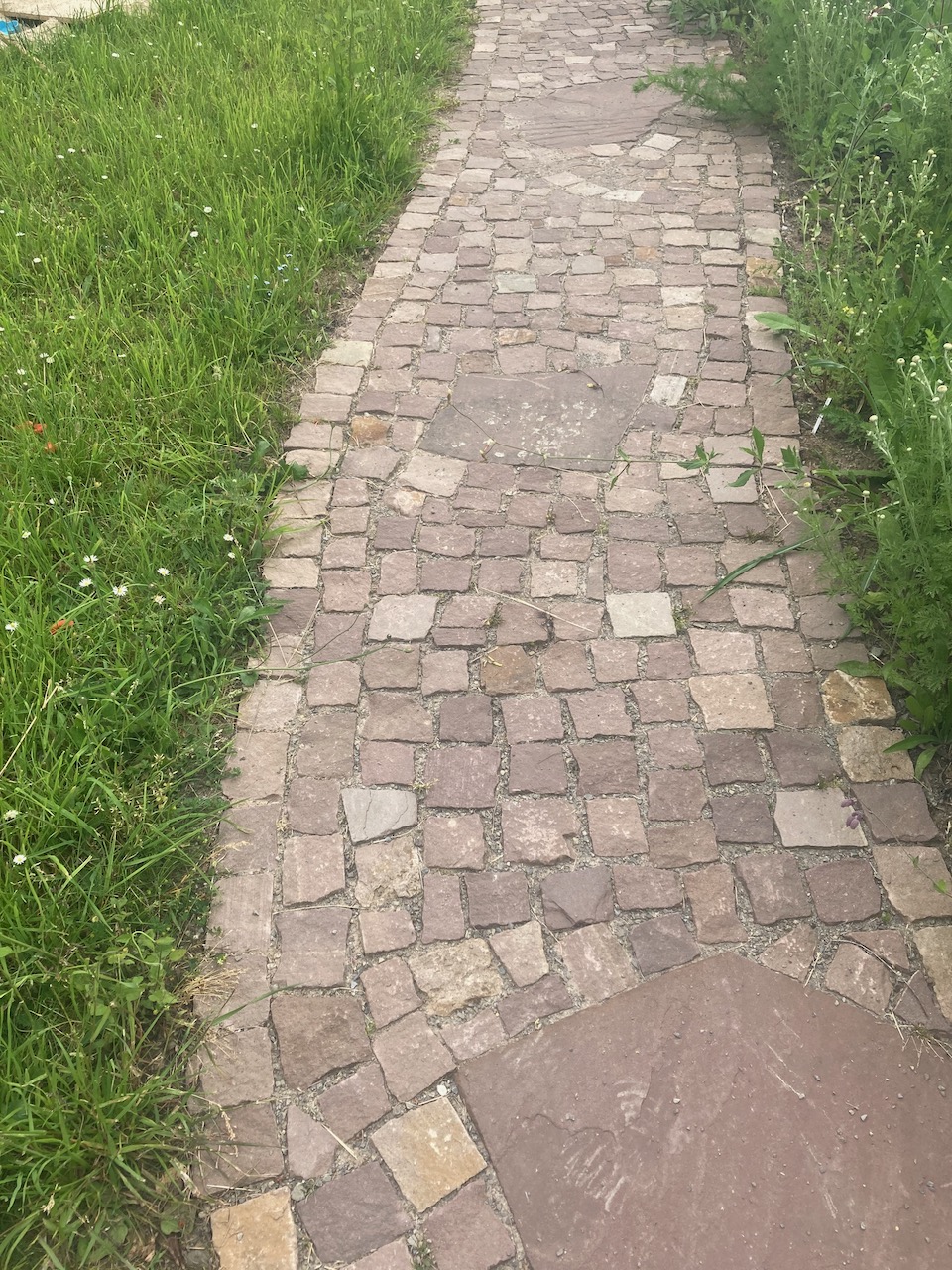 Rotes Sandsteinpflaster